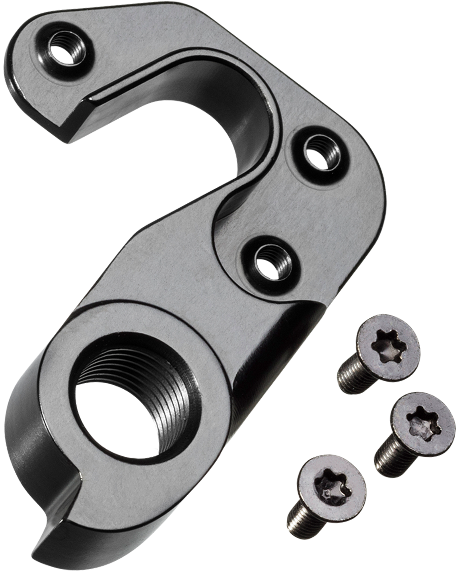 Canyon Derailleur Hanger No. 41